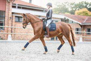 Frau mit Behinderung auf einem Pferd