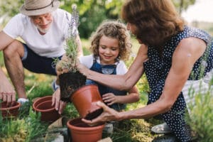 Frau, Mädchen und Mann beim Blumen umtopfen