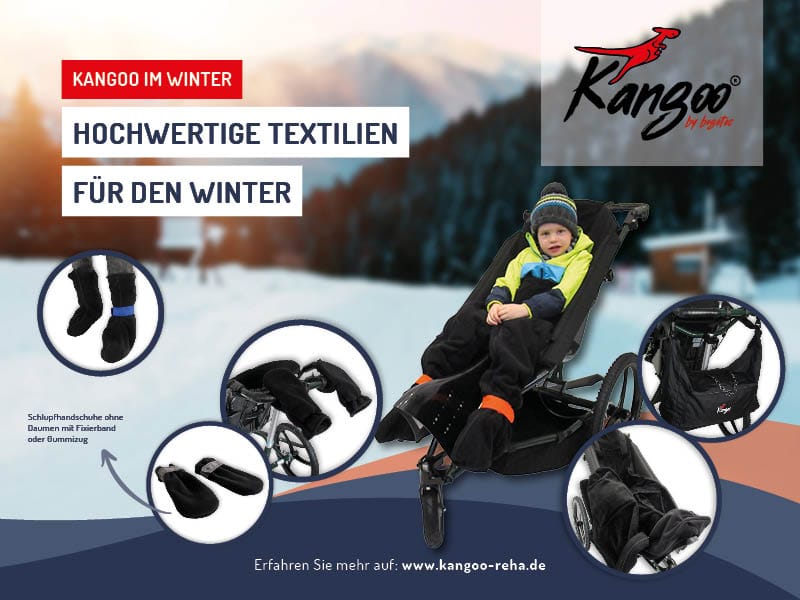Kangoo Banner