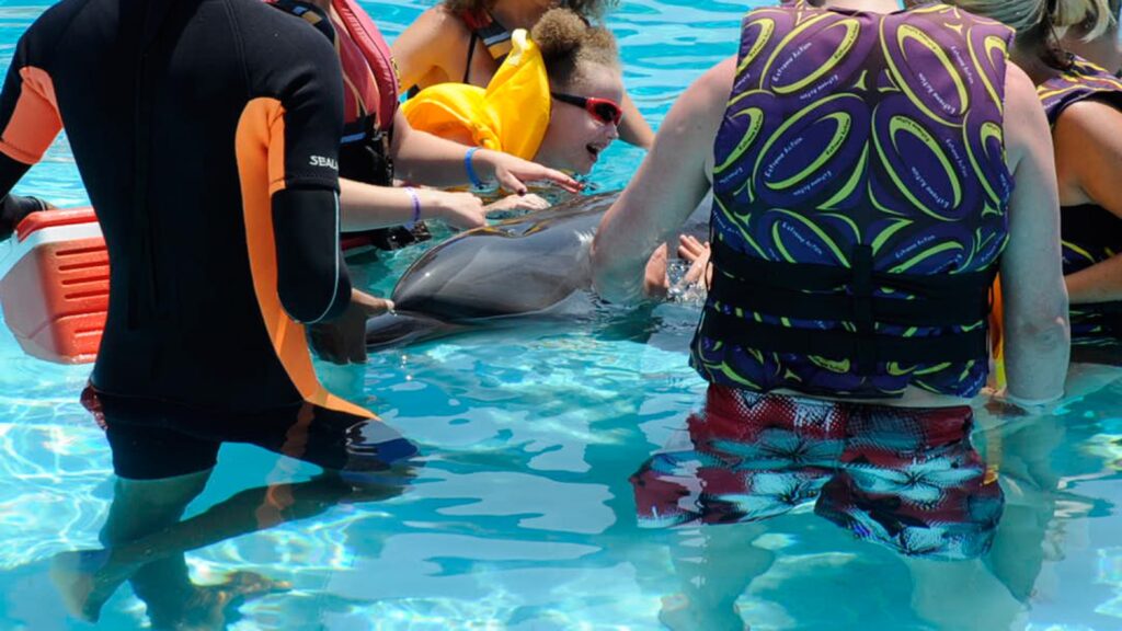 Kind ber&uuml;hrt einen Delfin im Delfinarium